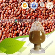 Wild Jujube Extract